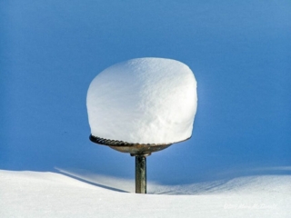 MINOLTA DIGITAL CAMERA